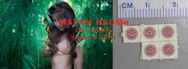 шишки Гусиноозёрск