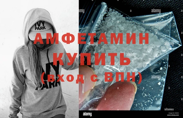 шишки Гусиноозёрск