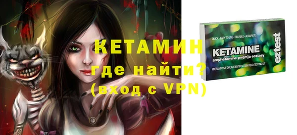 шишки Гусиноозёрск