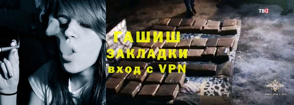 шишки Гусиноозёрск