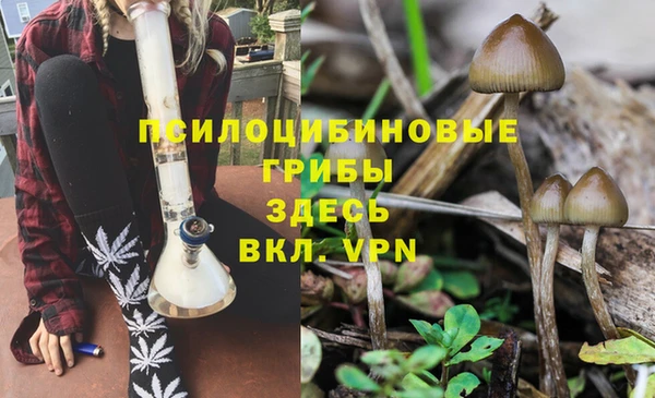 соль ск Гусев