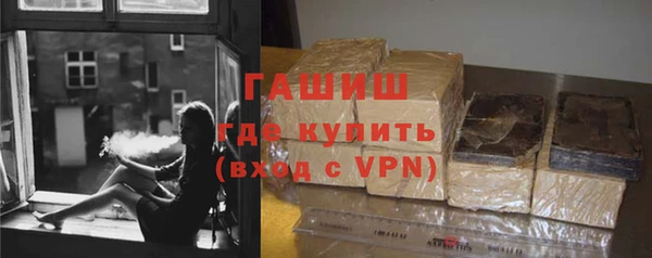 шишки Гусиноозёрск