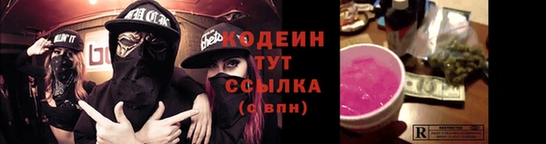 шишки Гусиноозёрск