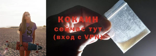соль ск Гусев