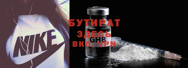 шишки Гусиноозёрск
