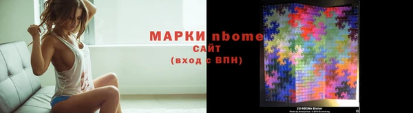 шишки Гусиноозёрск