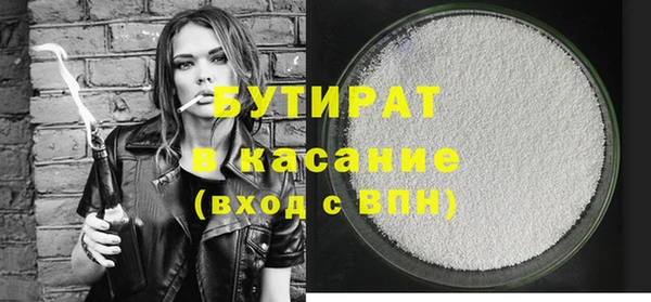 шишки Гусиноозёрск