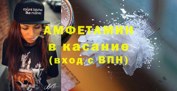шишки Гусиноозёрск