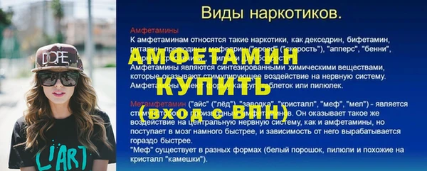 шишки Гусиноозёрск