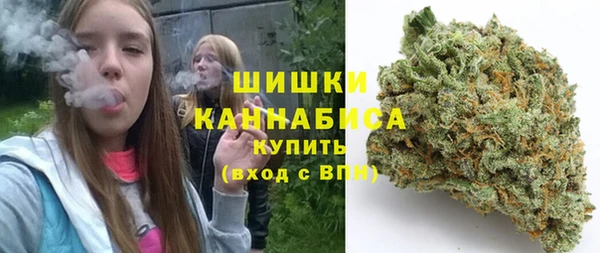 соль ск Гусев