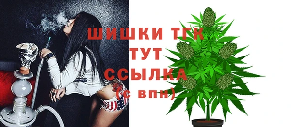 шишки Гусиноозёрск