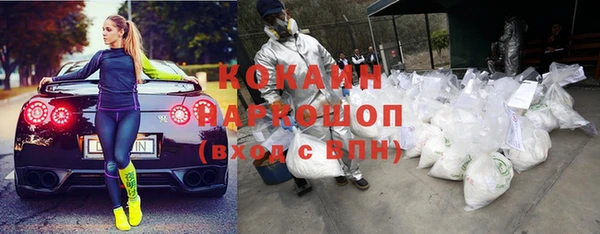 соль ск Гусев