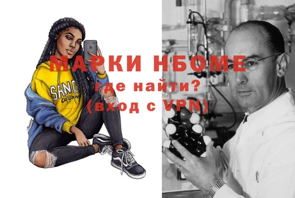 шишки Гусиноозёрск