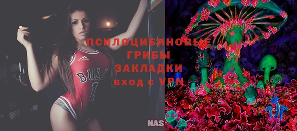 герыч Гусь-Хрустальный