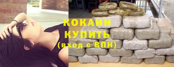шишки Гусиноозёрск