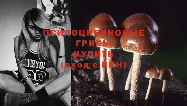 шишки Гусиноозёрск