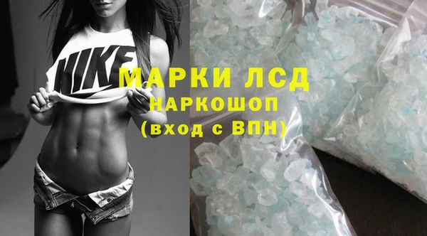 шишки Гусиноозёрск