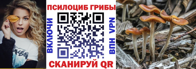 кракен вход  Кисловодск  Галлюциногенные грибы мухоморы 